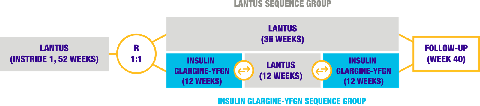 Graphical flowchart illustrating the study design